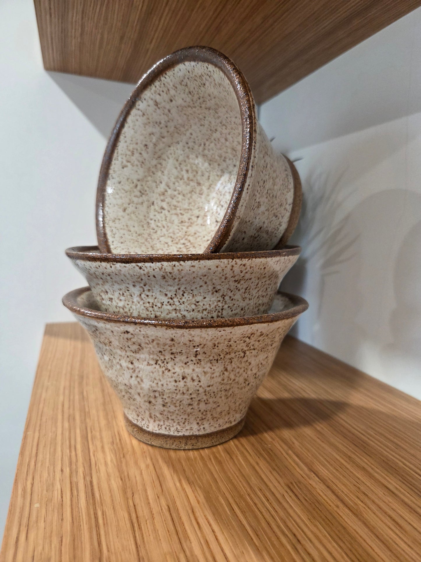Speckled Soup Bowl Set