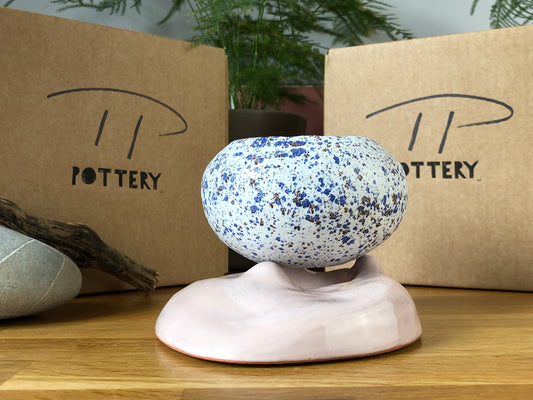 White with Blue speckle plant pot and Pink saucer