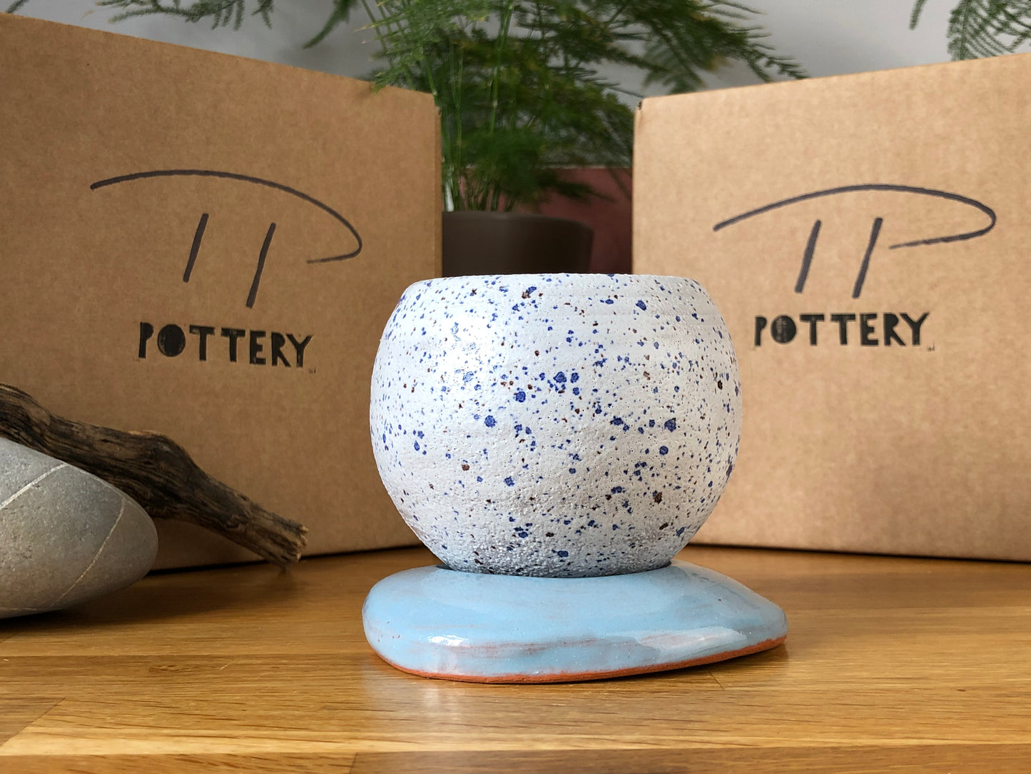 White with Blue speckled plant pot and Light Blue saucer