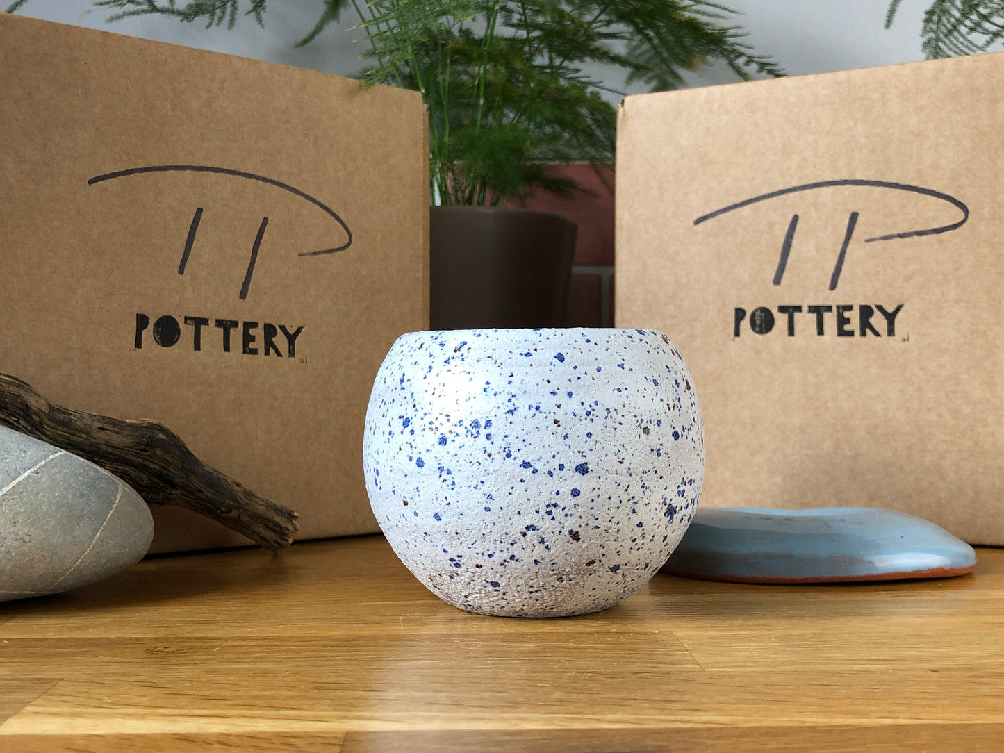 White with Blue speckled plant pot and Light Blue saucer